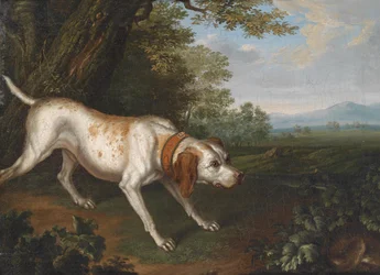 Un chien de chasse flairant une proie dans un paysage